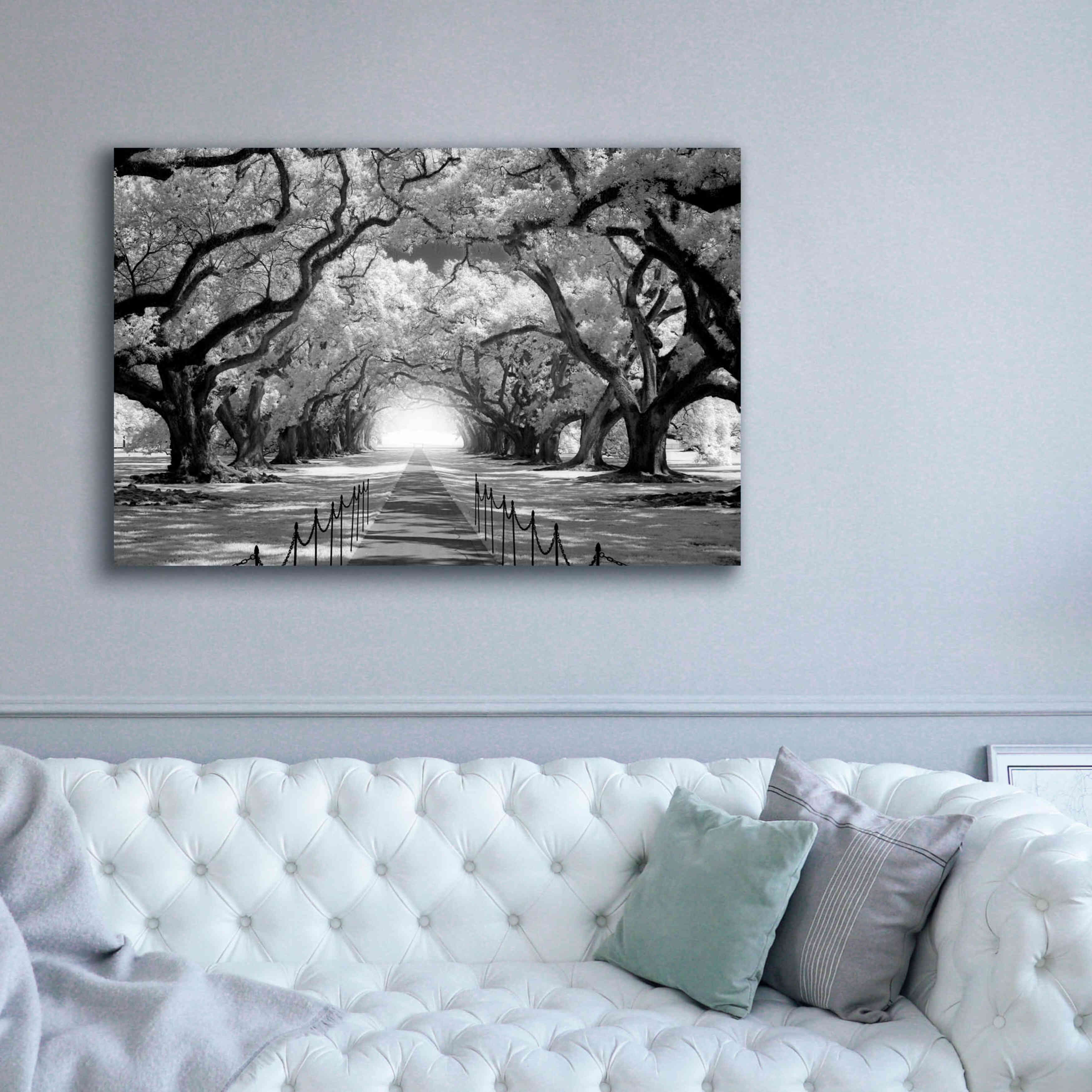 'Oak Alley inf CHECK' by Mike Jones, Giclee Canvas Wall Art,60 x 40