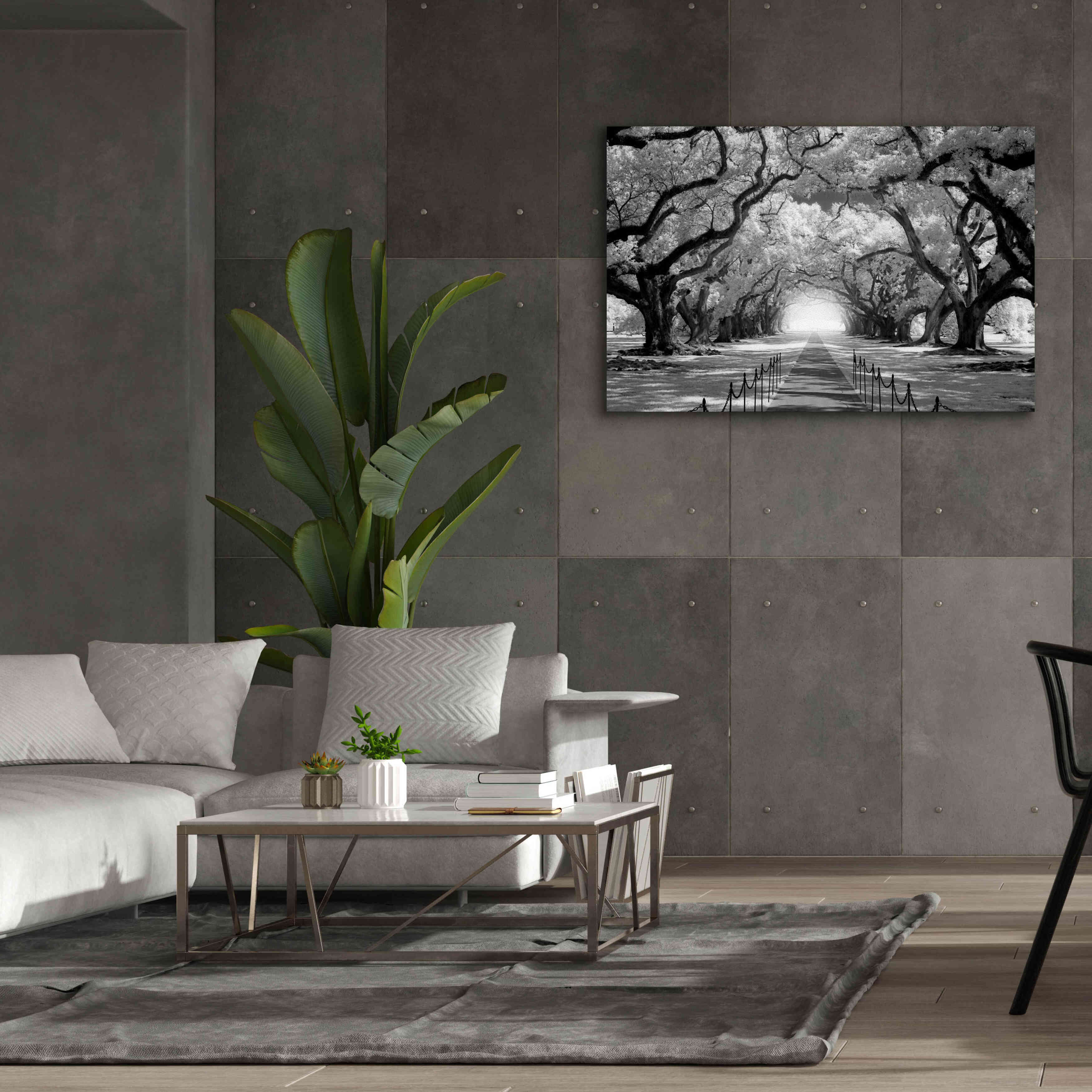 'Oak Alley inf CHECK' by Mike Jones, Giclee Canvas Wall Art,60 x 40