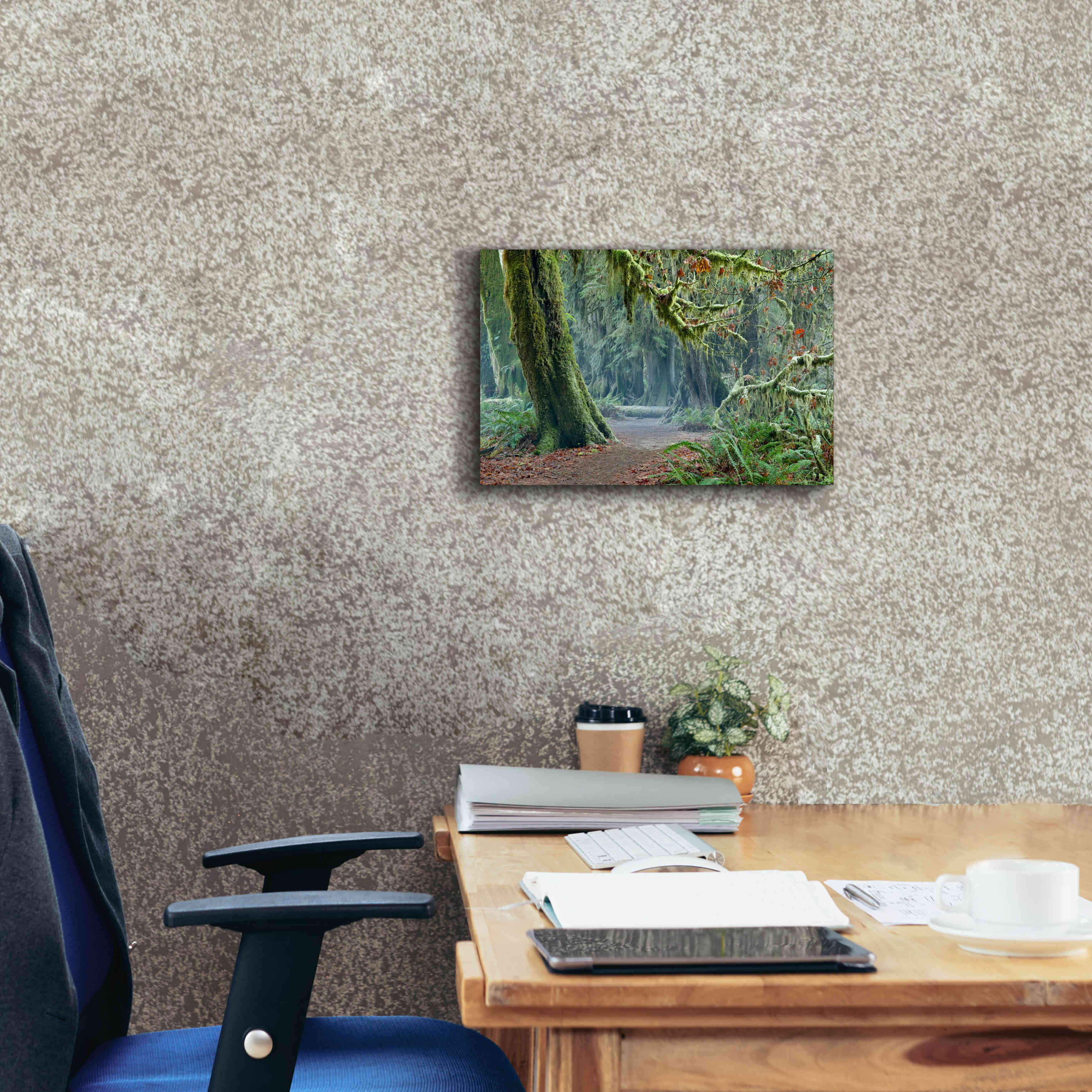 'Olympic NP Trail' by Mike Jones, Giclee Canvas Wall Art,18 x 12