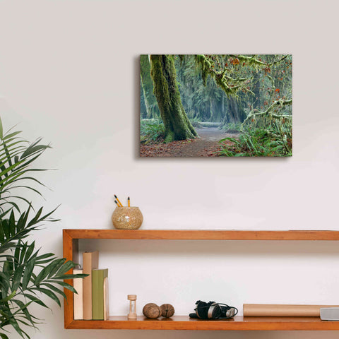 Image of 'Olympic NP Trail' by Mike Jones, Giclee Canvas Wall Art,18 x 12