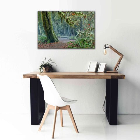 Image of 'Olympic NP Trail' by Mike Jones, Giclee Canvas Wall Art,40 x 26