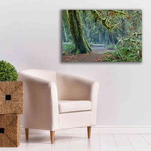 'Olympic NP Trail' by Mike Jones, Giclee Canvas Wall Art,40 x 26