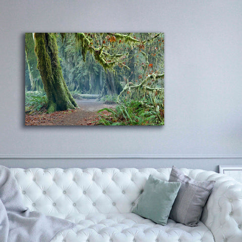 Image of 'Olympic NP Trail' by Mike Jones, Giclee Canvas Wall Art,60 x 40