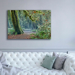 'Olympic NP Trail' by Mike Jones, Giclee Canvas Wall Art,60 x 40