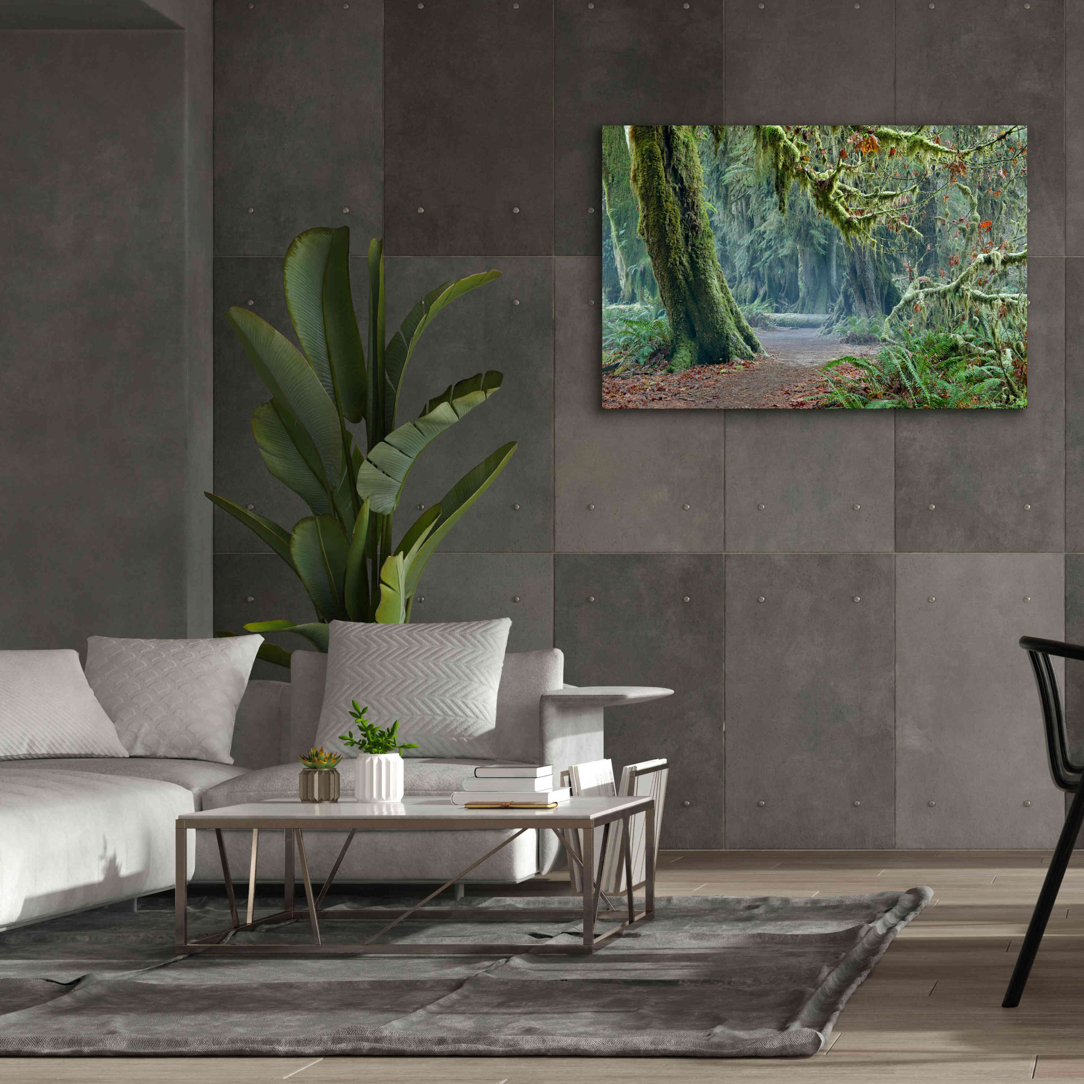 'Olympic NP Trail' by Mike Jones, Giclee Canvas Wall Art,60 x 40