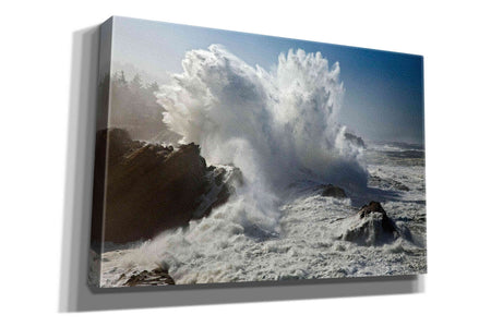 'Oregon Shore Acres SP Wave' by Mike Jones, Giclee Canvas Wall Art