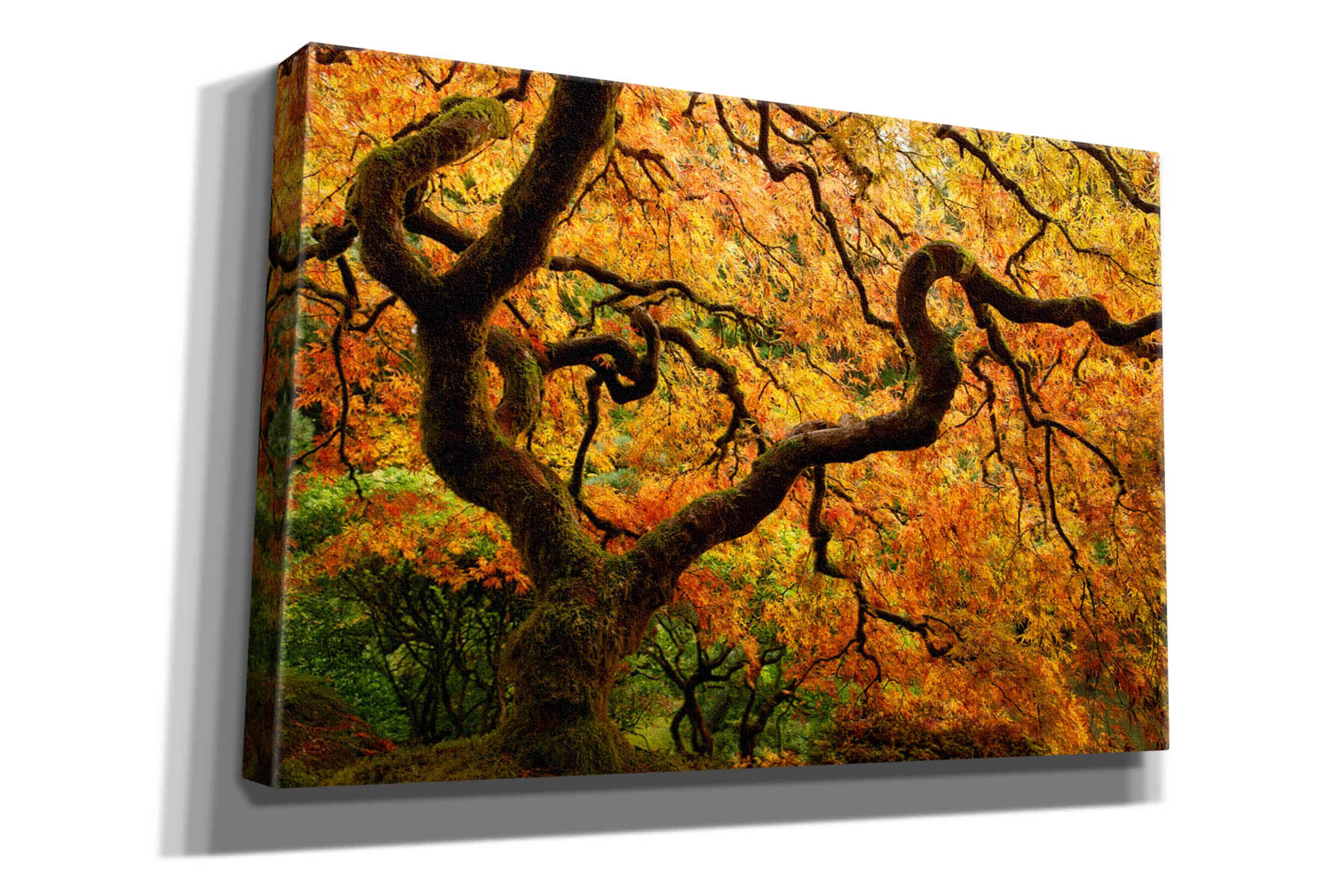 'Portland Japanese Garden' by Mike Jones, Giclee Canvas Wall Art