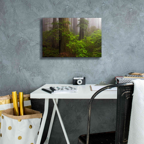 Image of 'Redwoods Fog' by Mike Jones, Giclee Canvas Wall Art,18 x 12