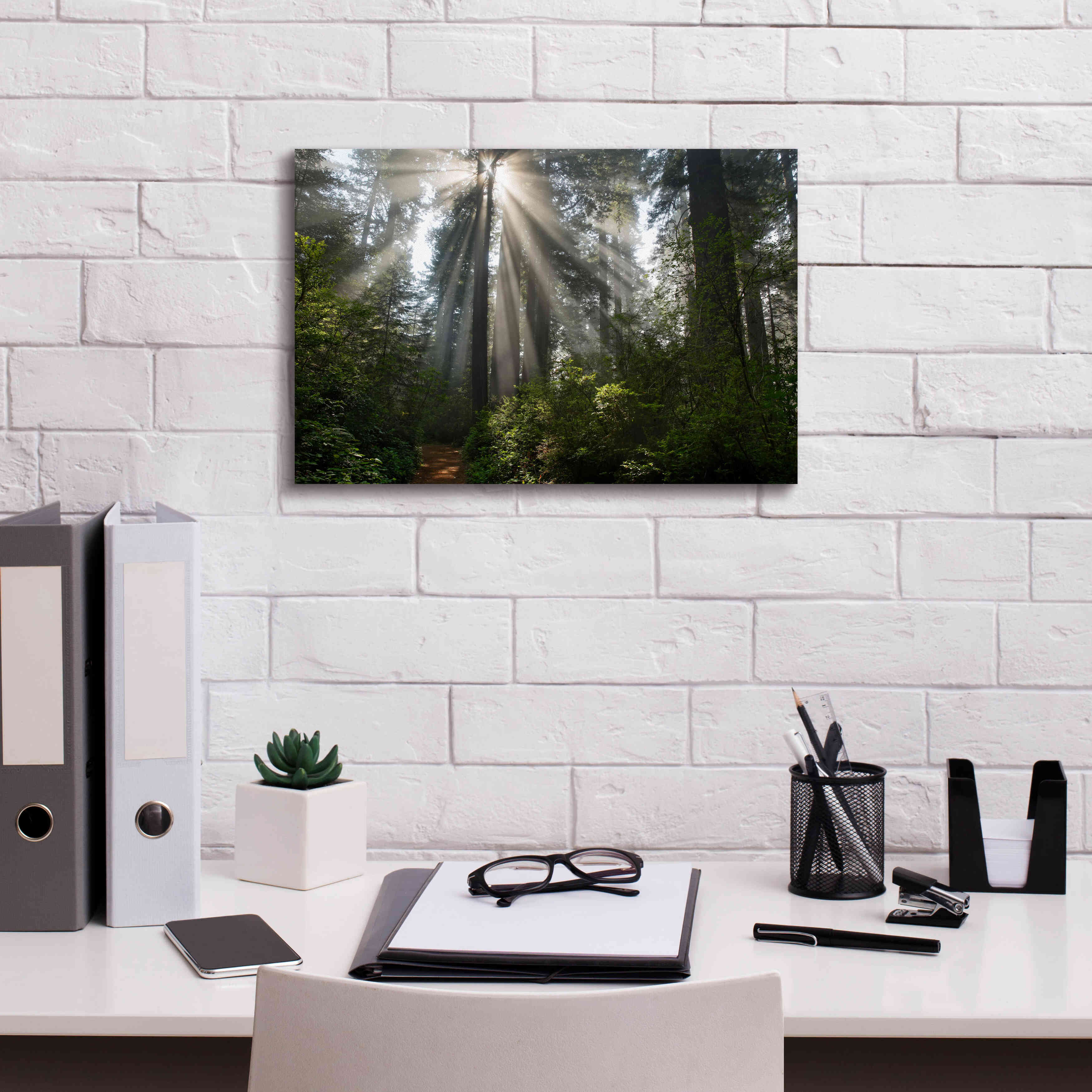 'Redwoods NP Ladybird Johnson Lightbeams' by Mike Jones, Giclee Canvas Wall Art,18 x 12