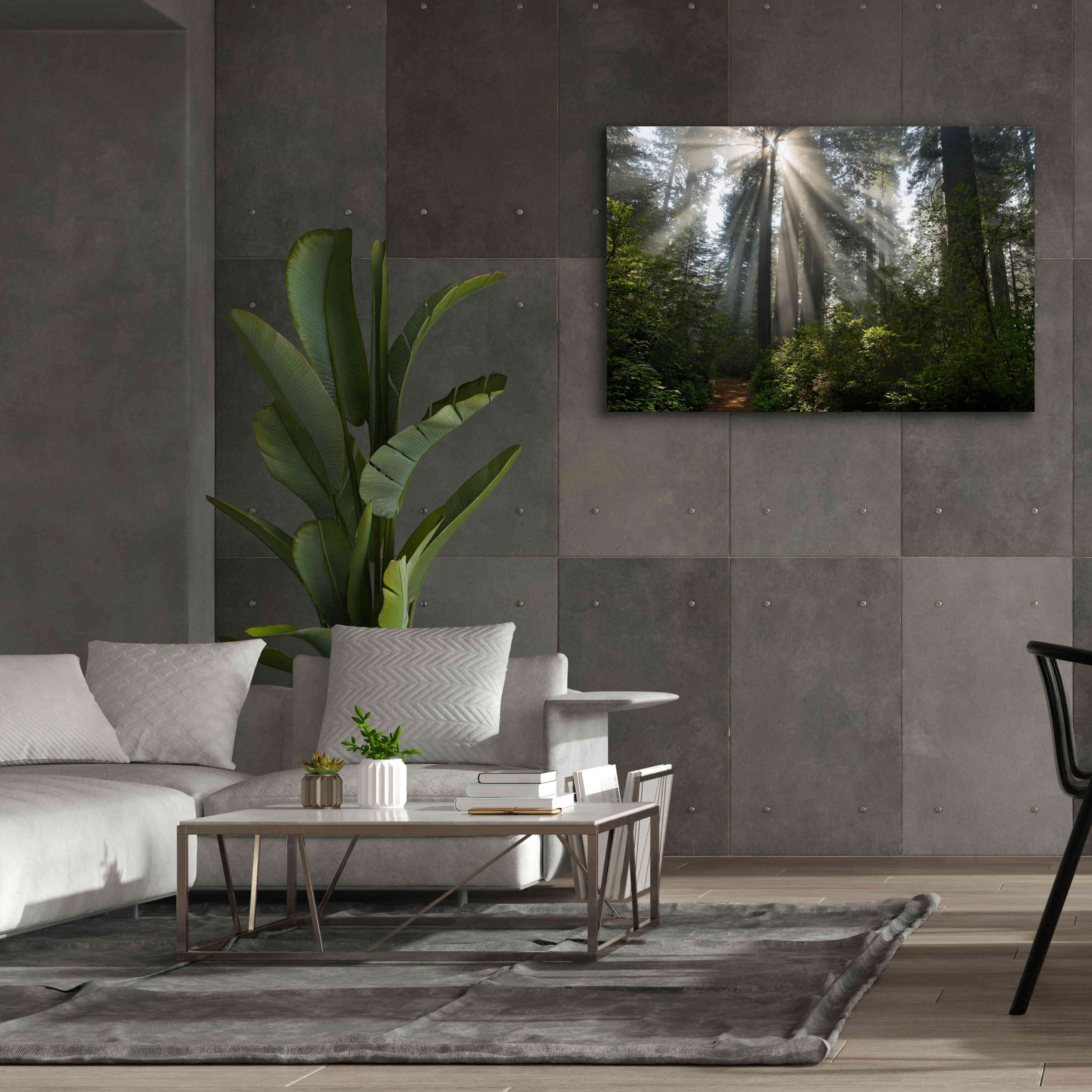 'Redwoods NP Ladybird Johnson Lightbeams' by Mike Jones, Giclee Canvas Wall Art,60 x 40