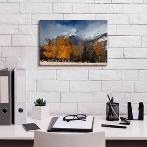 'RMNP Aspens and Storm Clouds' by Mike Jones, Giclee Canvas Wall Art,18 x 12