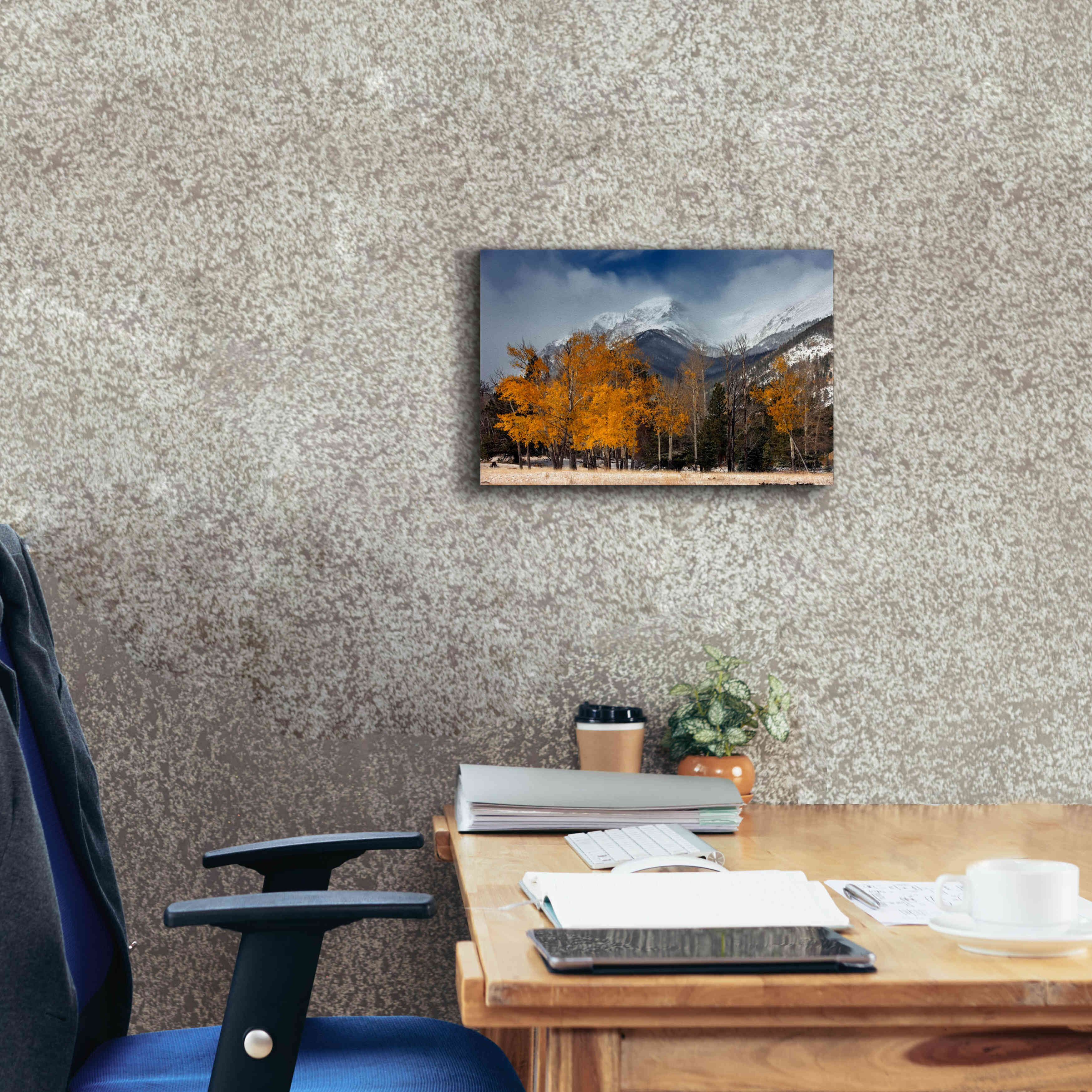 'RMNP Aspens and Storm Clouds' by Mike Jones, Giclee Canvas Wall Art,18 x 12