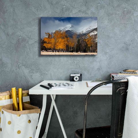 Image of 'RMNP Aspens and Storm Clouds' by Mike Jones, Giclee Canvas Wall Art,18 x 12