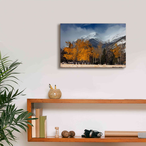 Image of 'RMNP Aspens and Storm Clouds' by Mike Jones, Giclee Canvas Wall Art,18 x 12