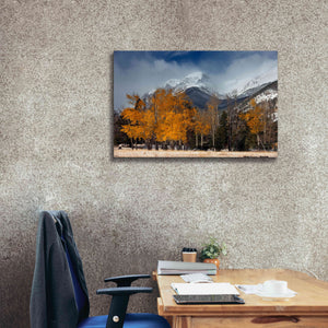 'RMNP Aspens and Storm Clouds' by Mike Jones, Giclee Canvas Wall Art,40 x 26