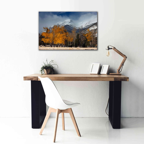 Image of 'RMNP Aspens and Storm Clouds' by Mike Jones, Giclee Canvas Wall Art,40 x 26