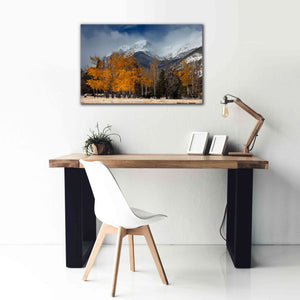 'RMNP Aspens and Storm Clouds' by Mike Jones, Giclee Canvas Wall Art,40 x 26