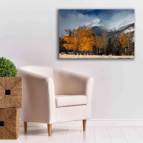 Image of 'RMNP Aspens and Storm Clouds' by Mike Jones, Giclee Canvas Wall Art,40 x 26