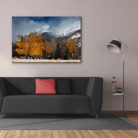 Image of 'RMNP Aspens and Storm Clouds' by Mike Jones, Giclee Canvas Wall Art,60 x 40