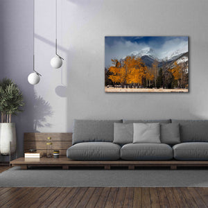 'RMNP Aspens and Storm Clouds' by Mike Jones, Giclee Canvas Wall Art,60 x 40