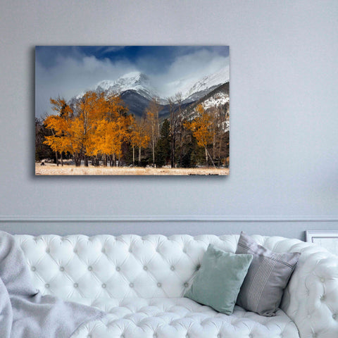 Image of 'RMNP Aspens and Storm Clouds' by Mike Jones, Giclee Canvas Wall Art,60 x 40