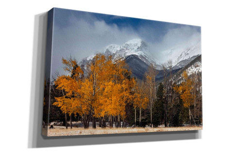 Image of 'RMNP Aspens and Storm Clouds' by Mike Jones, Giclee Canvas Wall Art