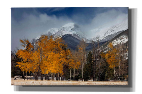 Image of 'RMNP Aspens and Storm Clouds' by Mike Jones, Giclee Canvas Wall Art