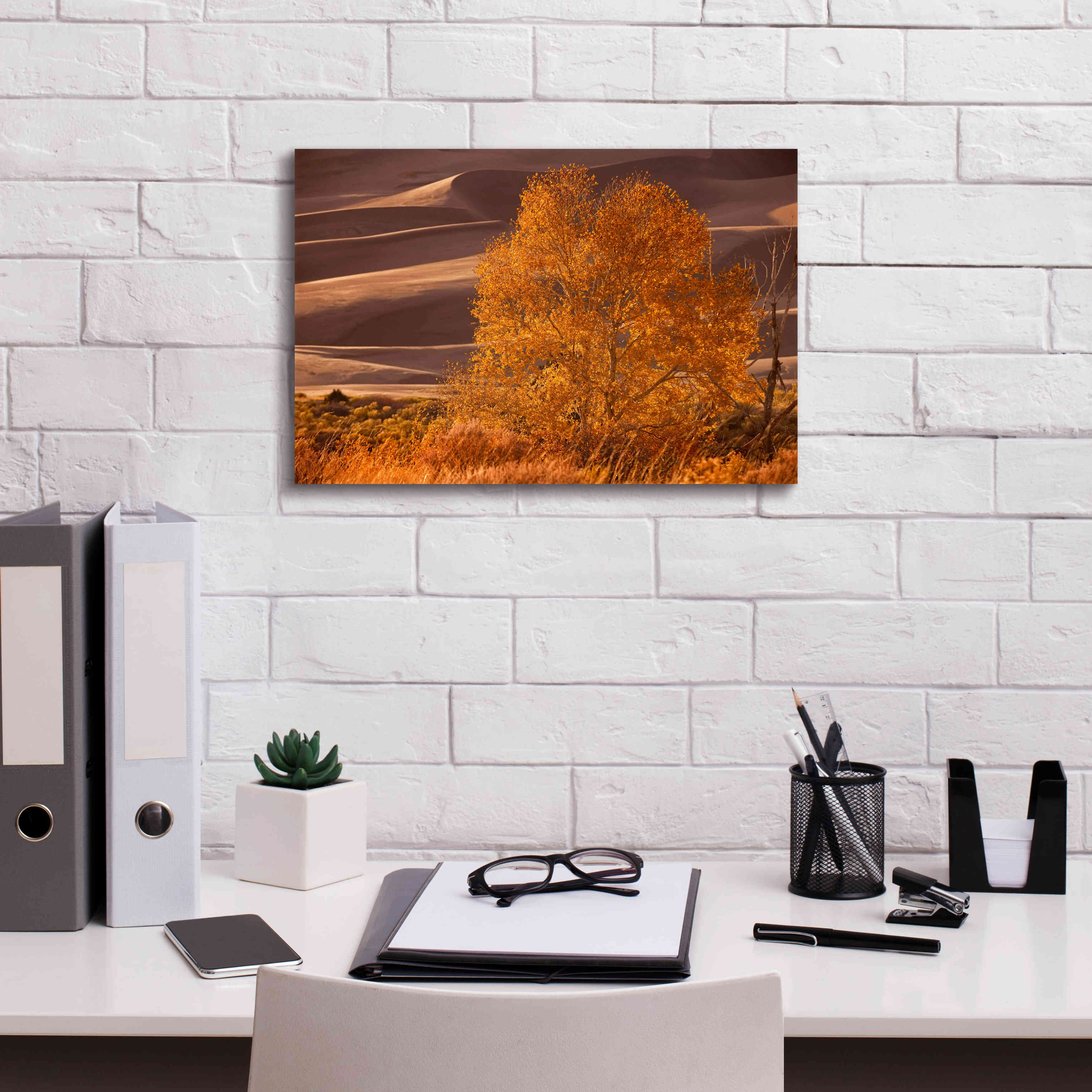 'Sand Dunes NP' by Mike Jones, Giclee Canvas Wall Art,18 x 12