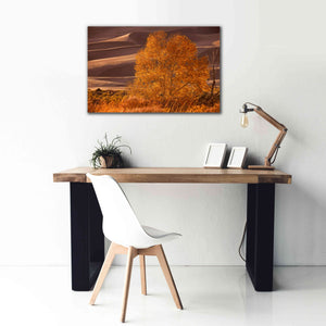 'Sand Dunes NP' by Mike Jones, Giclee Canvas Wall Art,40 x 26