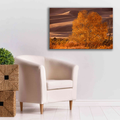 Image of 'Sand Dunes NP' by Mike Jones, Giclee Canvas Wall Art,40 x 26