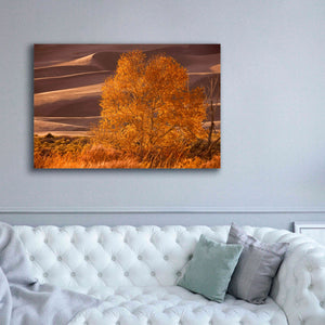 'Sand Dunes NP' by Mike Jones, Giclee Canvas Wall Art,60 x 40