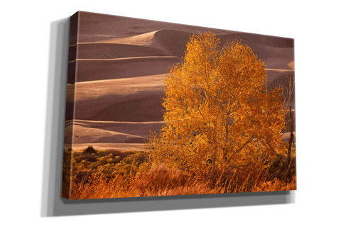'Sand Dunes NP' by Mike Jones, Giclee Canvas Wall Art