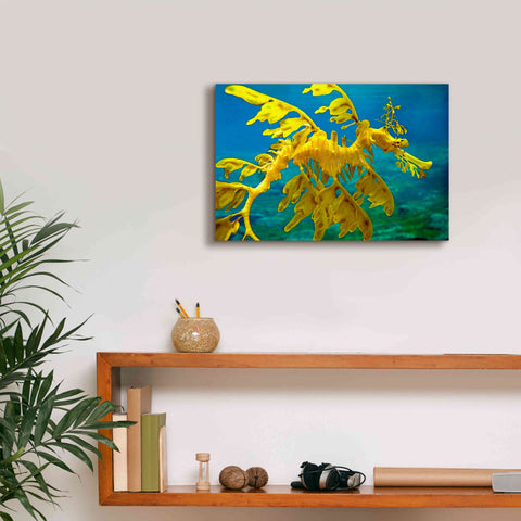 Image of 'Sea Dragon' by Mike Jones, Giclee Canvas Wall Art,18 x 12