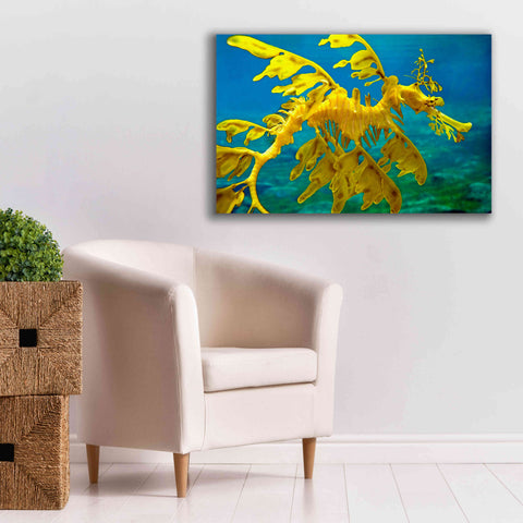 Image of 'Sea Dragon' by Mike Jones, Giclee Canvas Wall Art,40 x 26