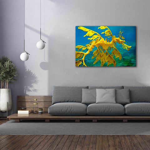 Image of 'Sea Dragon' by Mike Jones, Giclee Canvas Wall Art,60 x 40