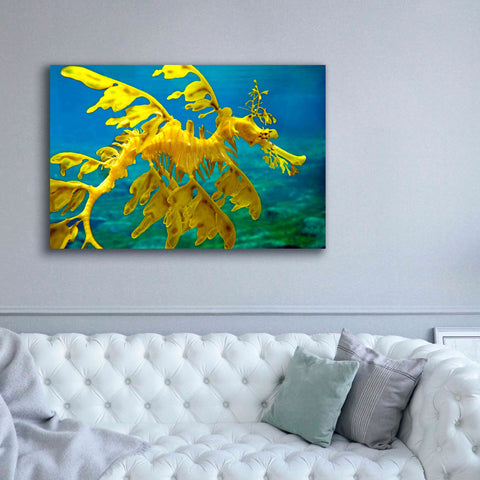 Image of 'Sea Dragon' by Mike Jones, Giclee Canvas Wall Art,60 x 40