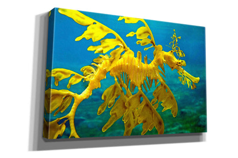 Image of 'Sea Dragon' by Mike Jones, Giclee Canvas Wall Art