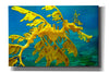 'Sea Dragon' by Mike Jones, Giclee Canvas Wall Art