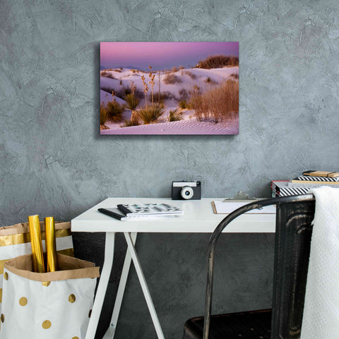 Image of 'White Sands Dusk' by Mike Jones, Giclee Canvas Wall Art,18 x 12