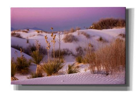 Image of 'White Sands Dusk' by Mike Jones, Giclee Canvas Wall Art