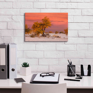 'White Sands Yellow Tree' by Mike Jones, Giclee Canvas Wall Art,18 x 12