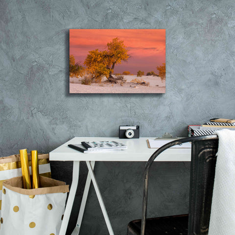 Image of 'White Sands Yellow Tree' by Mike Jones, Giclee Canvas Wall Art,18 x 12