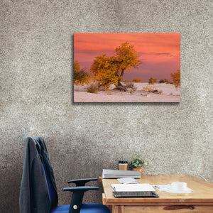 'White Sands Yellow Tree' by Mike Jones, Giclee Canvas Wall Art,40 x 26