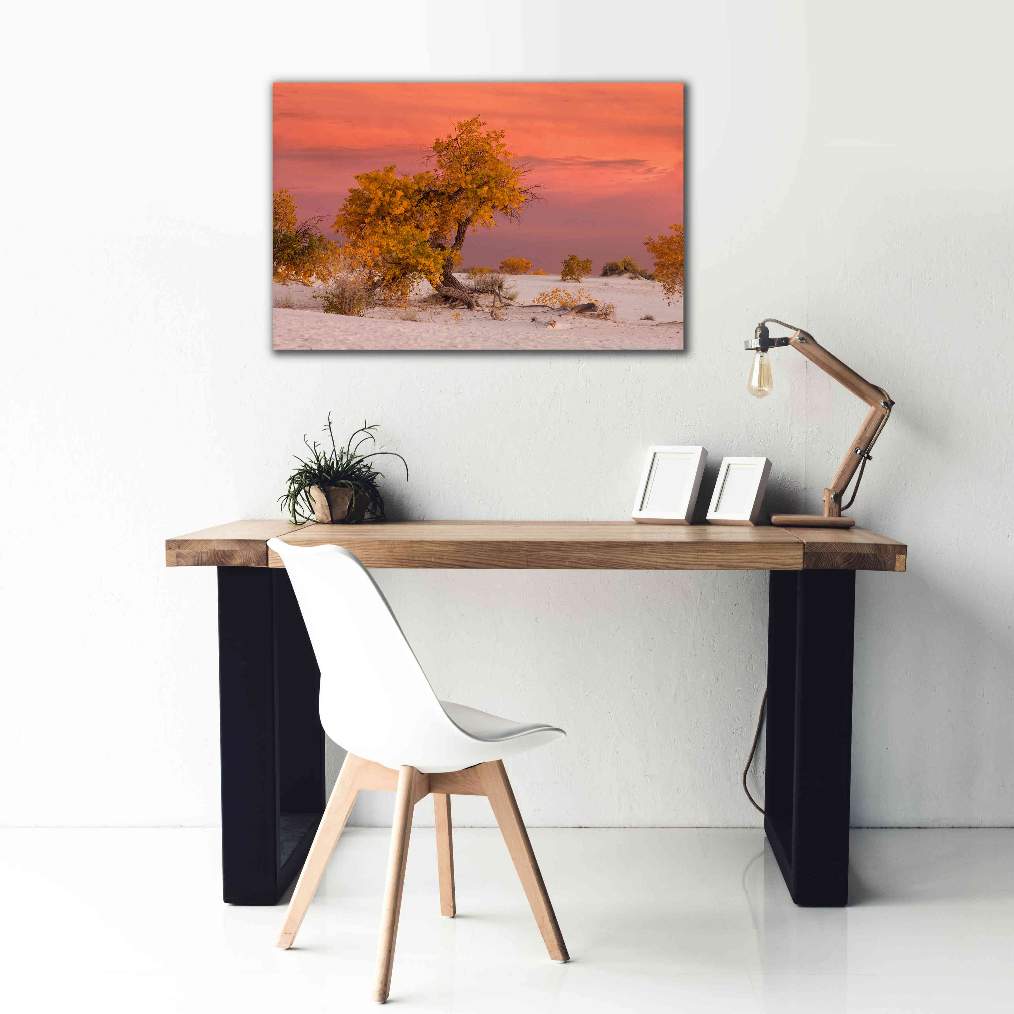 'White Sands Yellow Tree' by Mike Jones, Giclee Canvas Wall Art,40 x 26