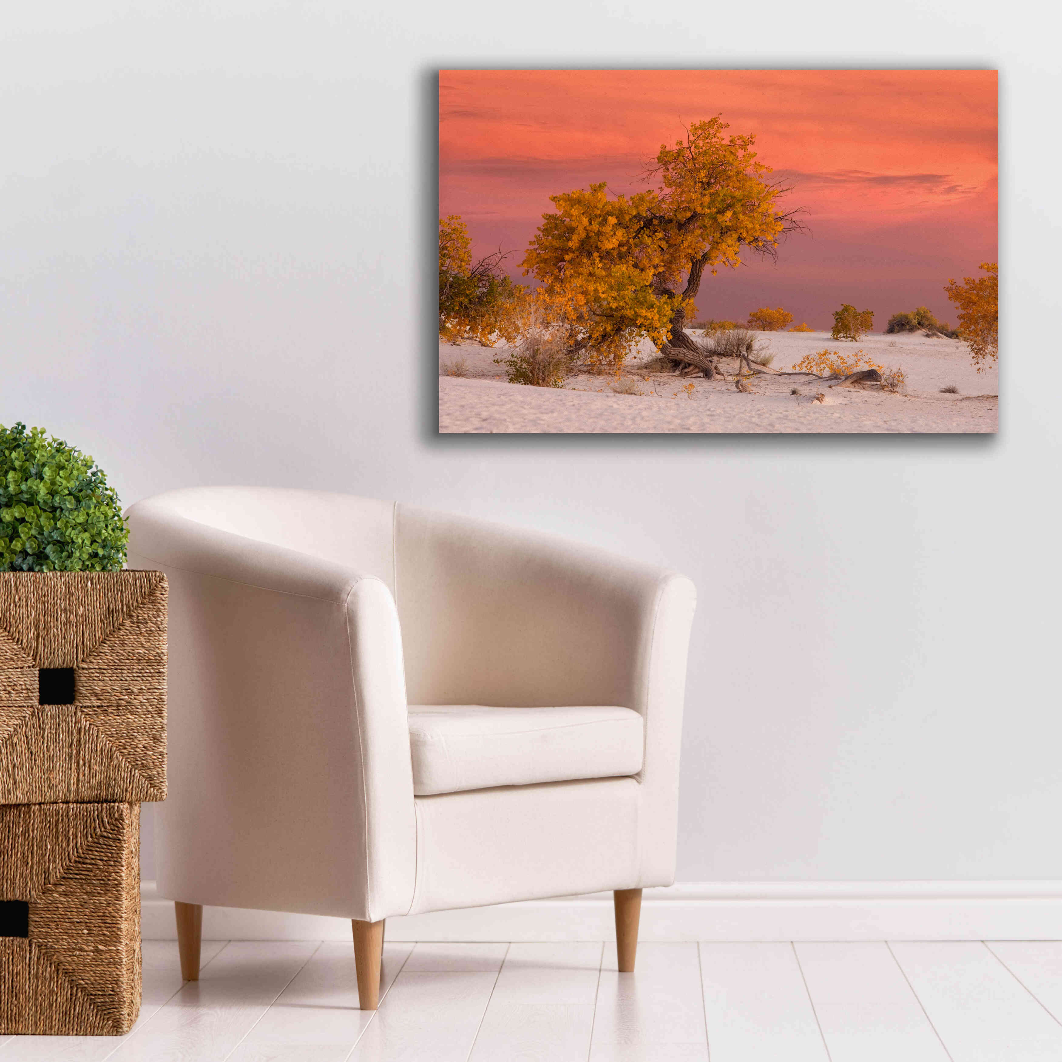 'White Sands Yellow Tree' by Mike Jones, Giclee Canvas Wall Art,40 x 26