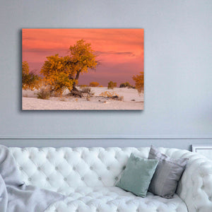 'White Sands Yellow Tree' by Mike Jones, Giclee Canvas Wall Art,60 x 40