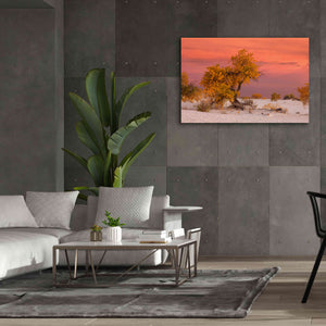 'White Sands Yellow Tree' by Mike Jones, Giclee Canvas Wall Art,60 x 40
