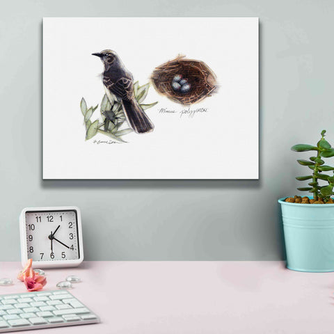 Image of 'Bird & Nest Study I' by Bruce Dean, Giclee Canvas Wall Art,16x12