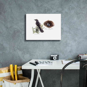 'Bird & Nest Study I' by Bruce Dean, Giclee Canvas Wall Art,16x12