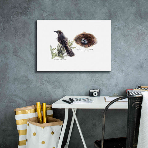 Image of 'Bird & Nest Study I' by Bruce Dean, Giclee Canvas Wall Art,26x18